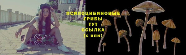 ешки Арсеньев