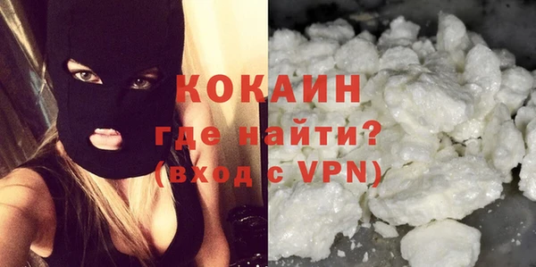 ешки Арсеньев
