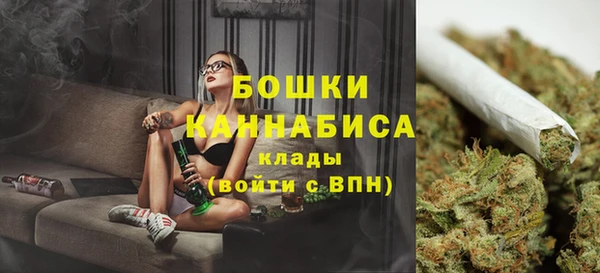 ешки Арсеньев