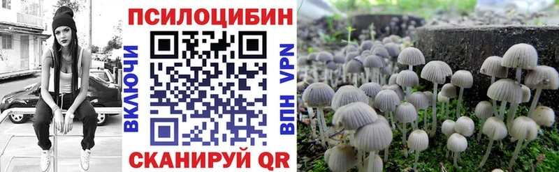 Галлюциногенные грибы прущие грибы OMG ТОР Нефтекумск где найти